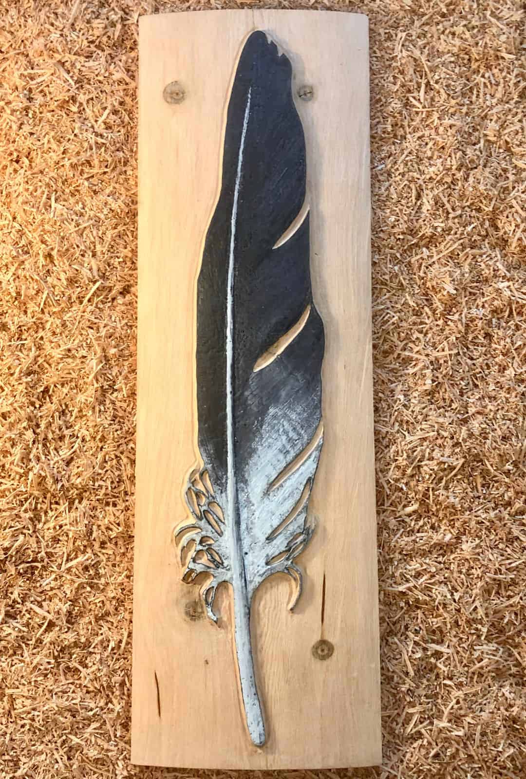 Bald Eagle Feather 